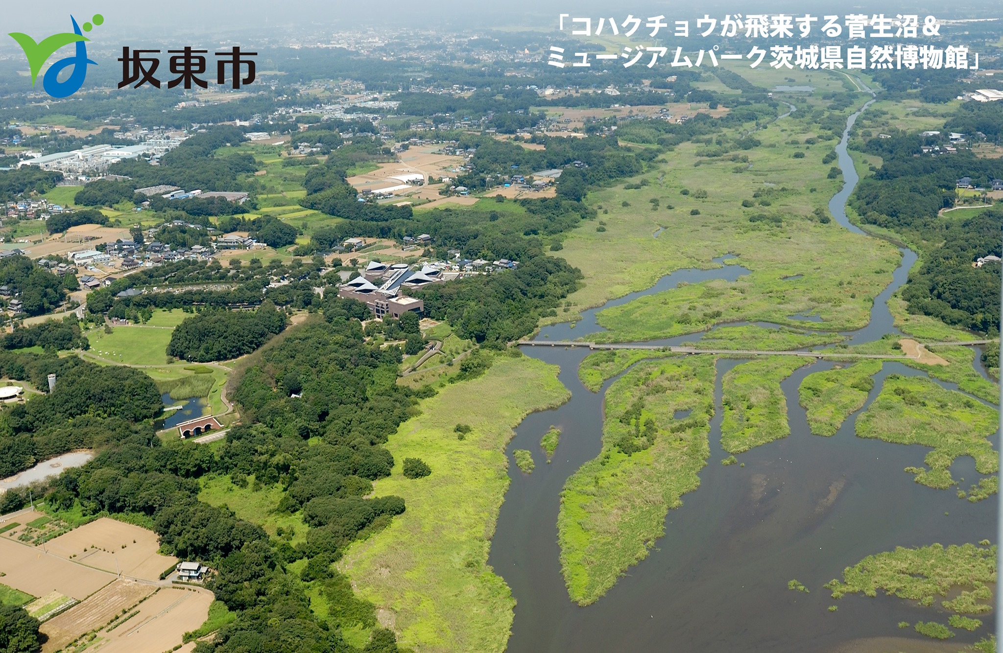 平将門ゆかりの地 坂東市長選は現職と新人の一騎打ち 日本最大の選挙 政治情報サイトの選挙ドットコム